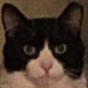 matskralc!'s Avatar